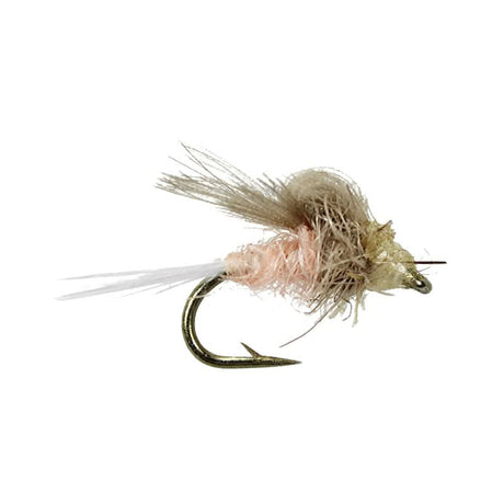 CDC - Loop Wing Grey - Go - Fish