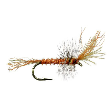 Cinnamon Flying Ant - Go - Fish
