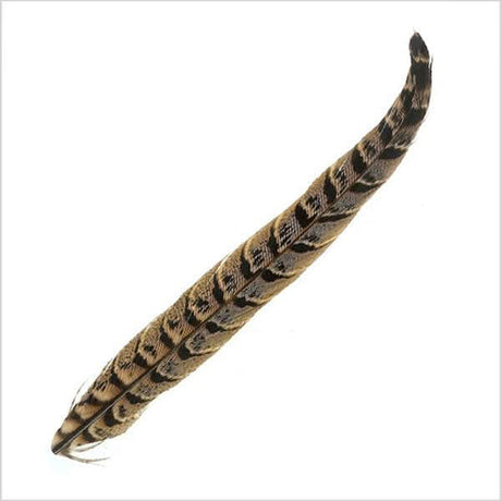 Coda di fagiano femmina col. Naturale - Go - Fish