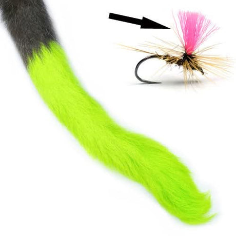 Coda di vitello - Calf Tail - Go - Fish