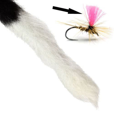 Coda di vitello - Calf Tail - Go - Fish
