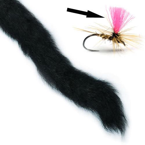 Coda di vitello - Calf Tail - Go - Fish