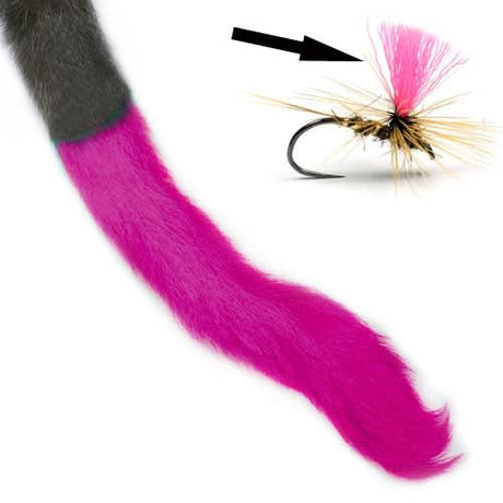 Coda di vitello - Calf Tail - Go - Fish