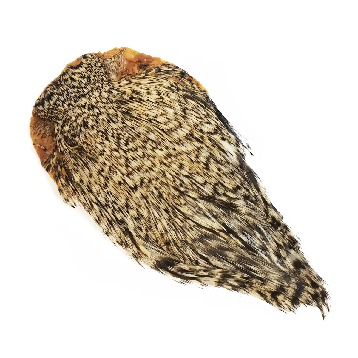 Collo di gallo grizzly