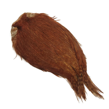 Collo di gallo indiano naturale ginger