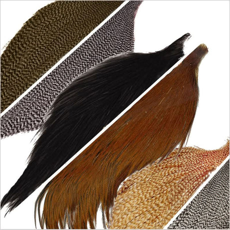 Combo Pack Collo di gallo Metz Grado 3 - Go - Fish