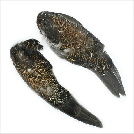 Coppia delle ali di pernice scozzese - Go - Fish