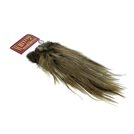 Coq de Leon Saddle # Silver medium pardo
