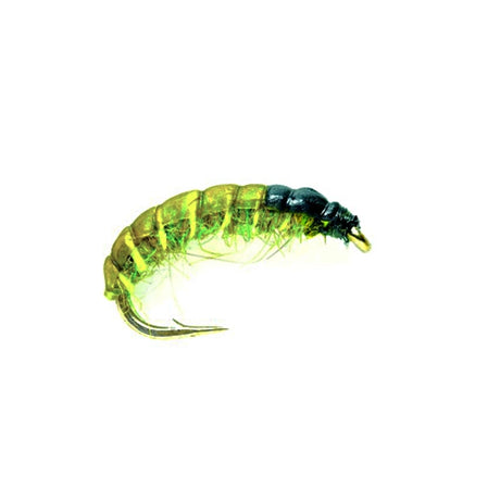 Czech Nymph olive