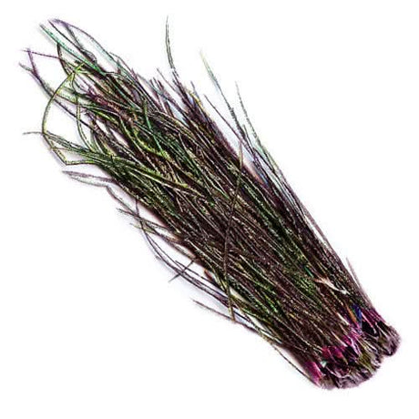 Fibre della coda di pavone - Go - Fish