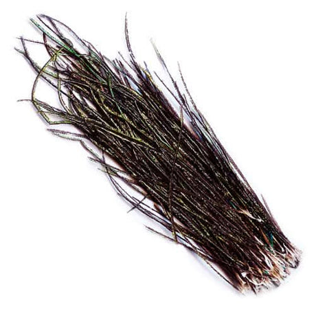 Fibre della coda di pavone - Go - Fish