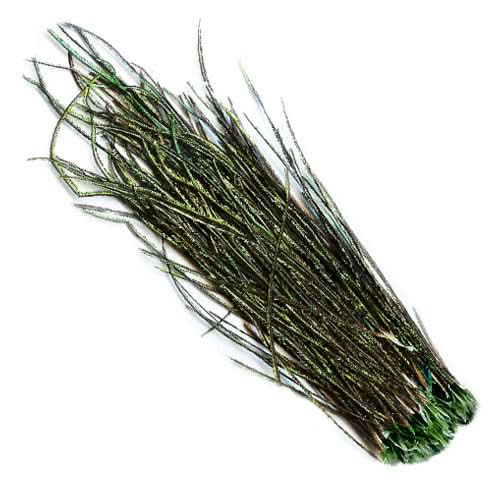Fibre della coda di pavone - Go - Fish