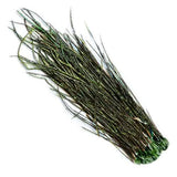 Fibre della coda di pavone - Go - Fish