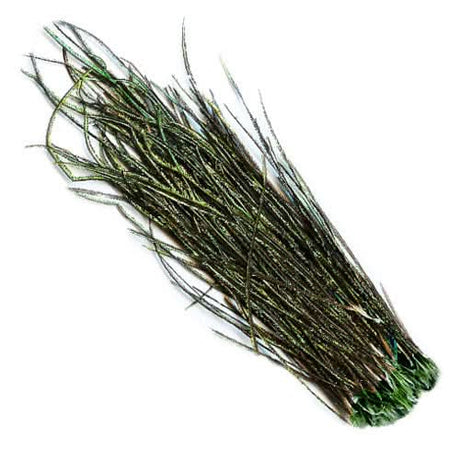 Fibre della coda di pavone - Go - Fish