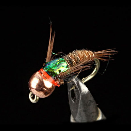 Fine Flash Back - Go - Fish