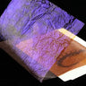 Fine UV Flash Back - Go - Fish
