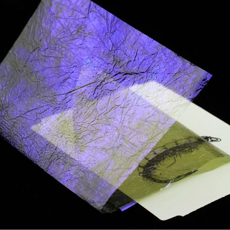 Fine UV Flash Back - Go - Fish