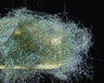Fine UV Ice Dubbing - Go - Fish