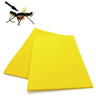 Fly Foam 2mm - Go - Fish