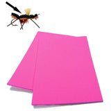 Fly Foam 2mm - Go - Fish