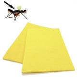 Fly Foam 3mm - Go - Fish