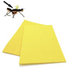 Fly Foam 3mm - Go - Fish