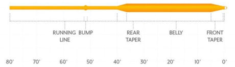 Coda di topo Air Cel WF Orange Scientific Anglers