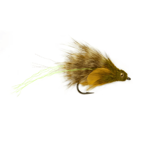 Goby Olive 4 - Go - Fish