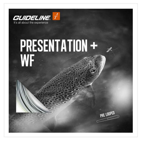 Guideline Presentation+ WF Coda di topo - Go - Fish