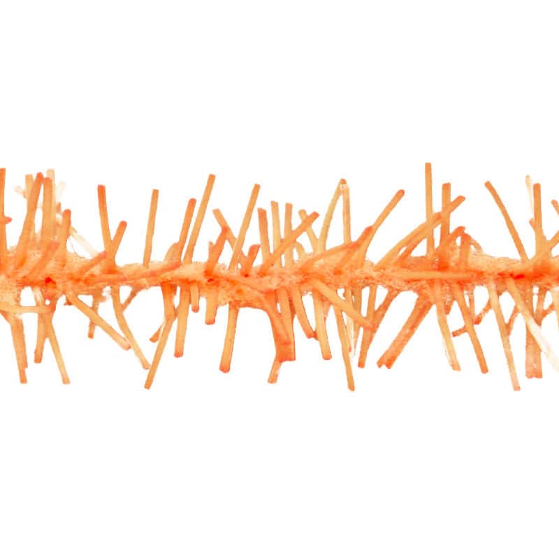Gummy Chenille 15mm - Go - Fish