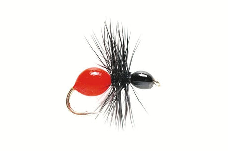 Hard Body Ant - Go - Fish