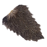 Spalla di gallina - Hen Saddle