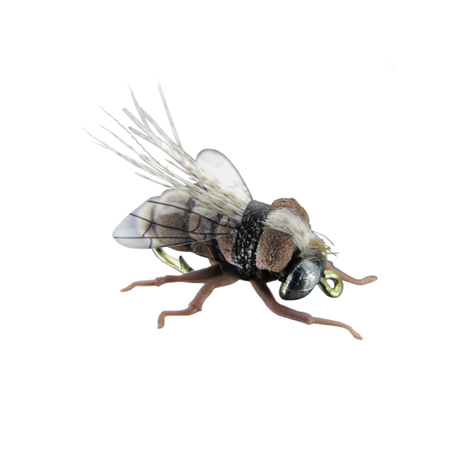 Terrestrial Fly Brown Fly