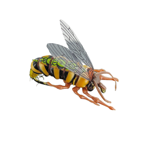 Terrestrial Fly Brown Fly Wasp
