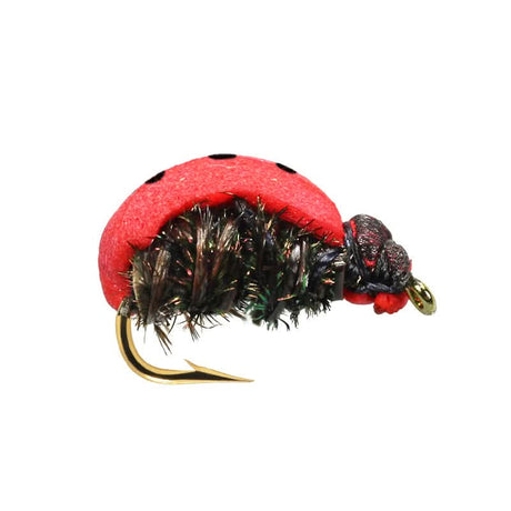 Lady Bug - Go - Fish