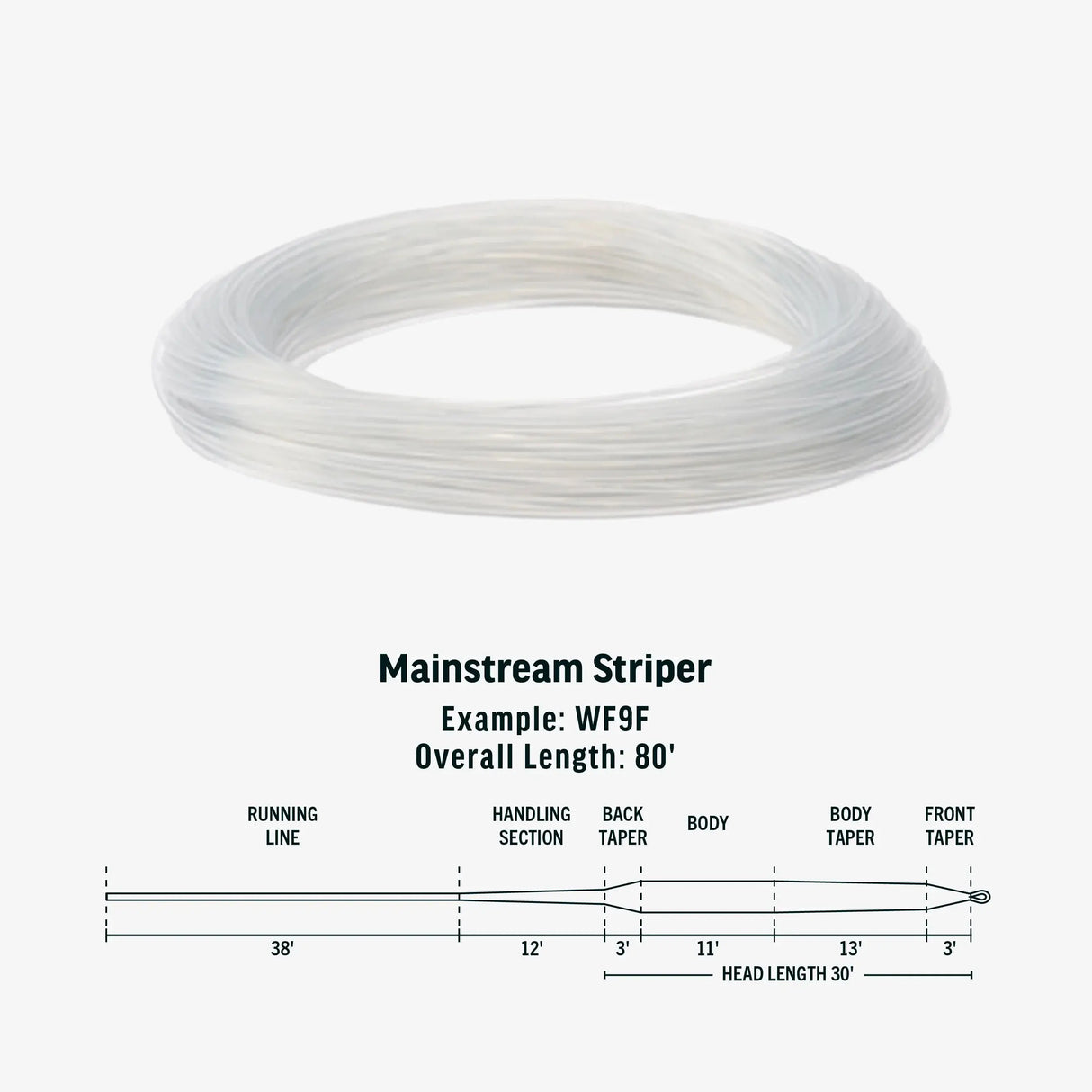 Rio Mainstream Striper Float coda di topo intermediate