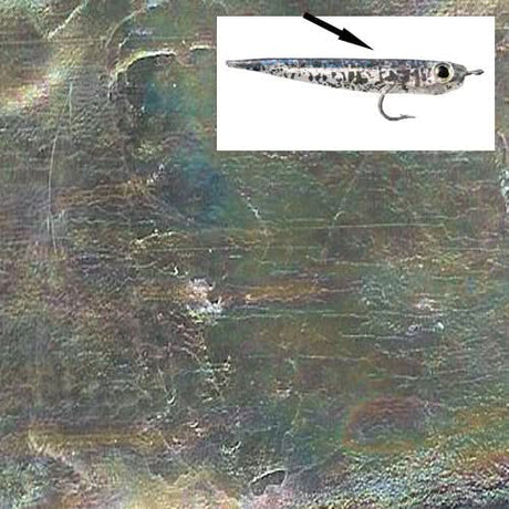 Minnow Skin - Go - Fish