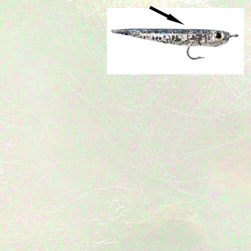 Minnow Skin - Go - Fish