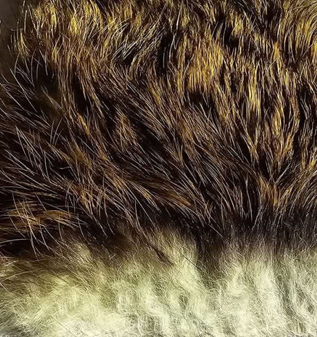 Pelo di lepre naturale - Go - Fish