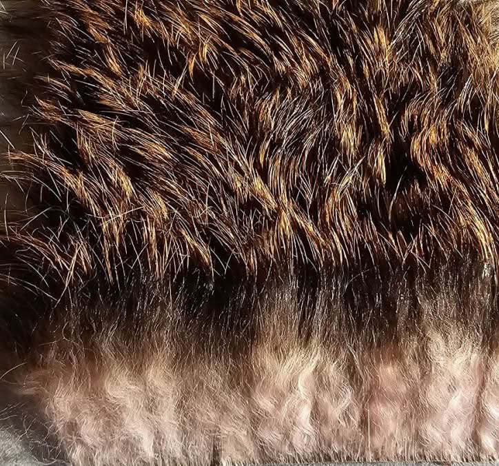 Pelo di lepre naturale - Go - Fish