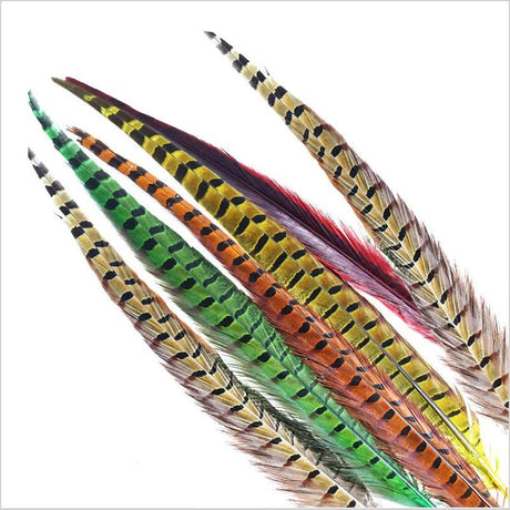 Penne Coda di fagiano - Go - Fish
