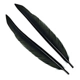 Penne delle ali di anatra | Duck Quills - Go - Fish