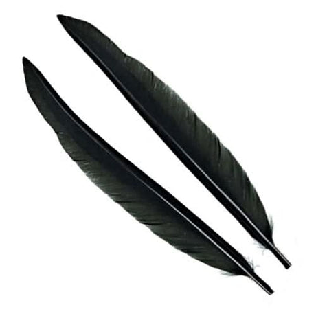 Penne delle ali di anatra | Duck Quills - Go - Fish