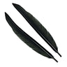 Penne delle ali di anatra | Duck Quills - Go - Fish