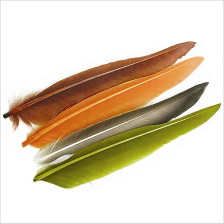 Penne delle ali di anatra | Duck Quills - Go - Fish