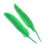 Penne delle ali di anatra | Duck Quills - Go - Fish