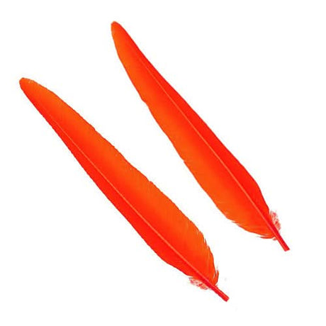Penne delle ali di anatra | Duck Quills - Go - Fish