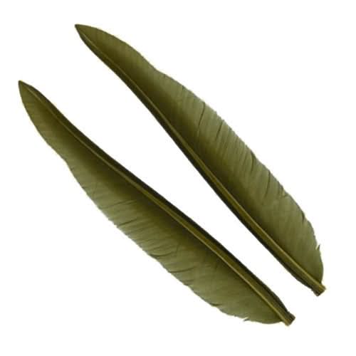 Penne delle ali di anatra | Duck Quills - Go - Fish