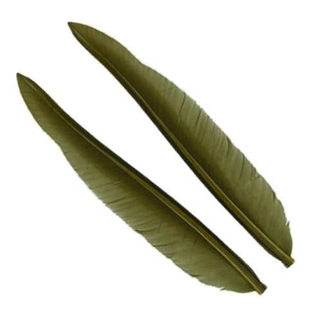 Penne delle ali di anatra | Duck Quills - Go - Fish
