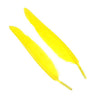 Penne delle ali di anatra | Duck Quills - Go - Fish